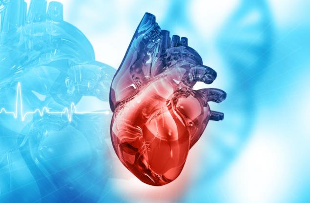 Канадски учени откриха клетки, които могат да лекуват сърцето