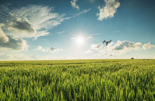 Дрон-полинатор може да ни помогне да оцелеем след гибелта на пчелите