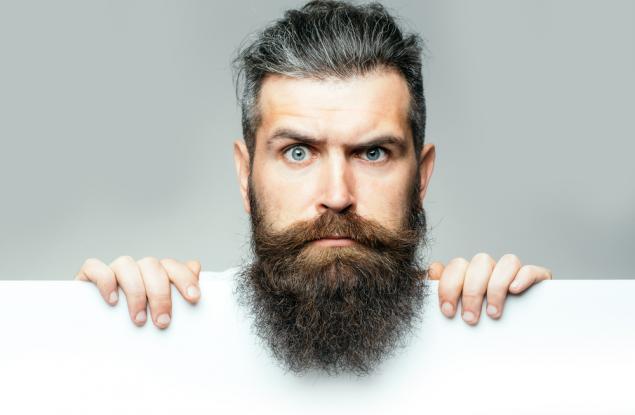 В мъжката брада има повече бактерии, отколкото в кучешката козина