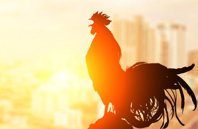 Притча за петела