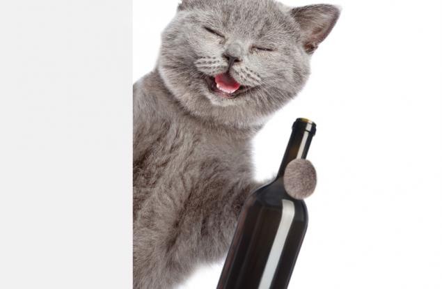 Видео: Пияни животни