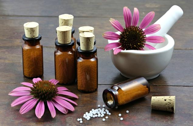 Ехинацея – ефективна хранителна добавка или поредният мит?