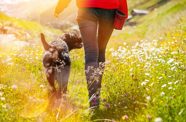 10 начина, по които ходенето пеша подобрява здравето