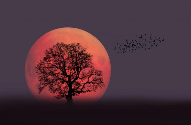 Астрономически календар - 14-20 август