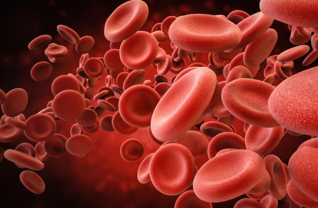 Безсмъртни стволови клетки позволяват на учените да създадат неограничено количество изкуствена кръв