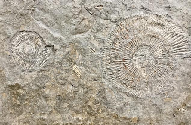 Откриха доказателство за живот на Земята преди 4 милиарда години