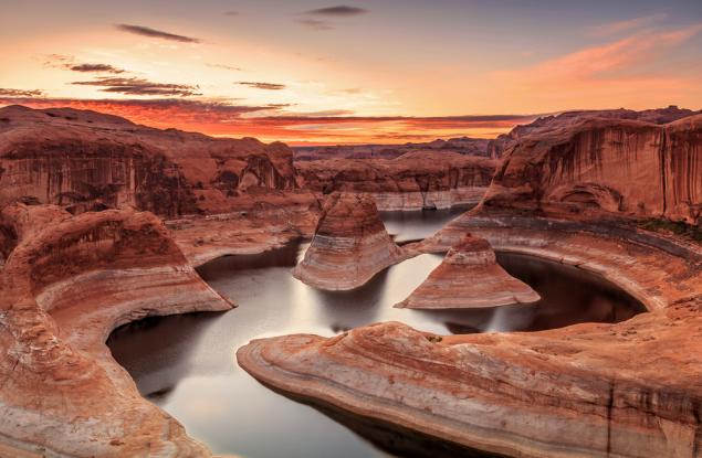 Учените съживяват зомби-растения