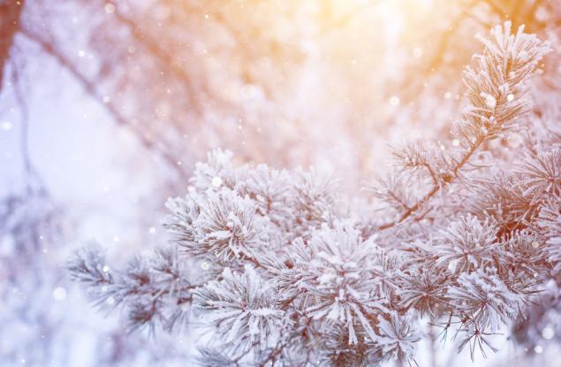 Експерименти у дома: Направи си сняг