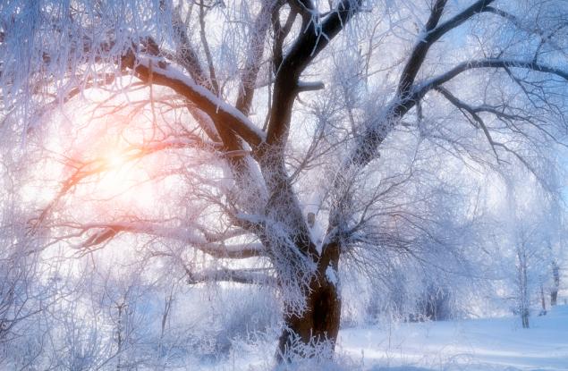 Глобалното затопляне води до по-сурови зими