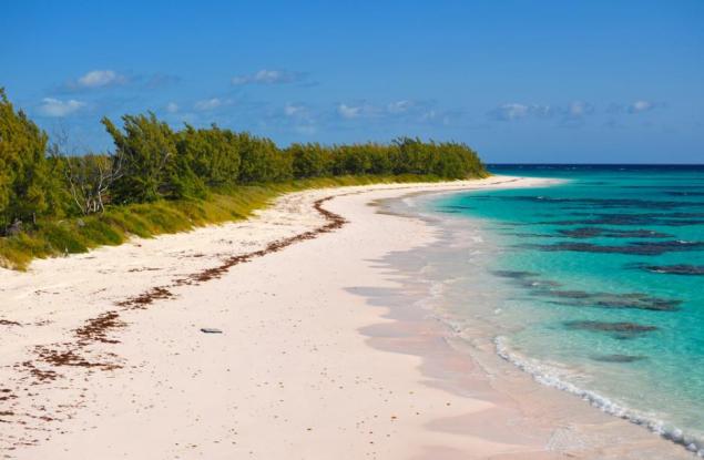 Виц: Трогателно