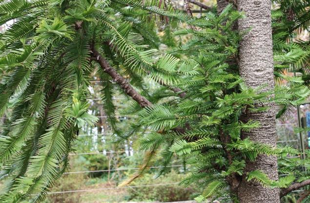 8 загадъчни аномалии