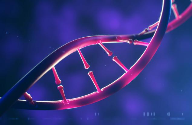 Колко трайна е ДНК?