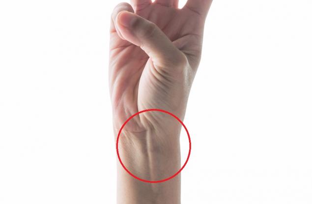 Едно доказателство за еволюцията, което можете да откриете у собственото си тяло