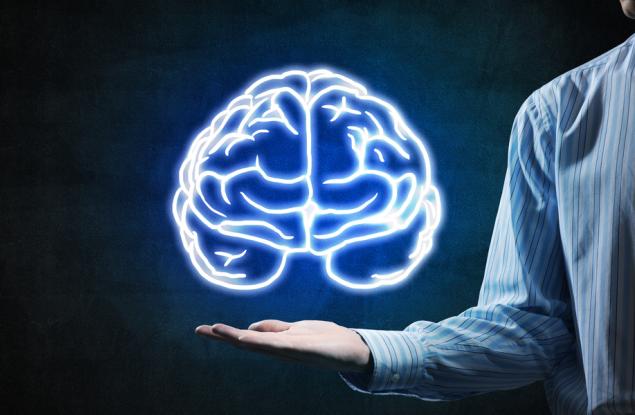 Човешкият мозък съзрява чак към 40 г.