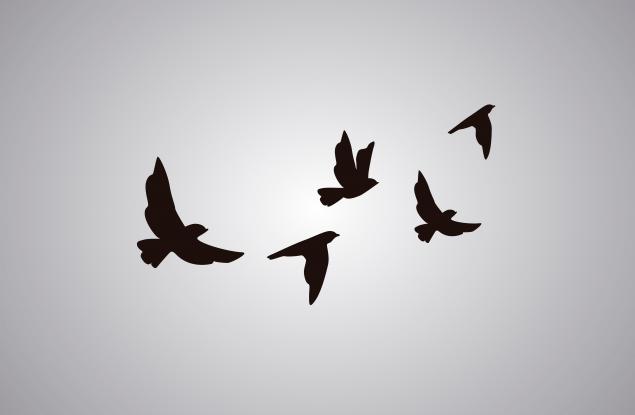 Кой е Харун Яхя и какво казва за живеенето