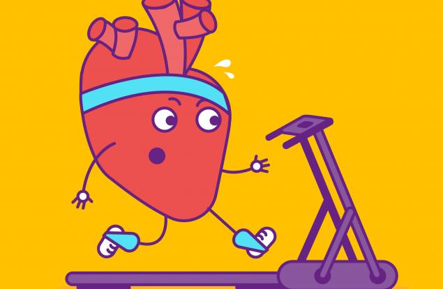 Бърз и лесен тест разкрива колко здраво е сърцето ви