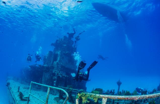 Злато на нацистите е намерено в останките на потънал кораб 