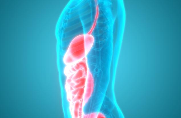 Чисто нов човешки орган е бил класифициран