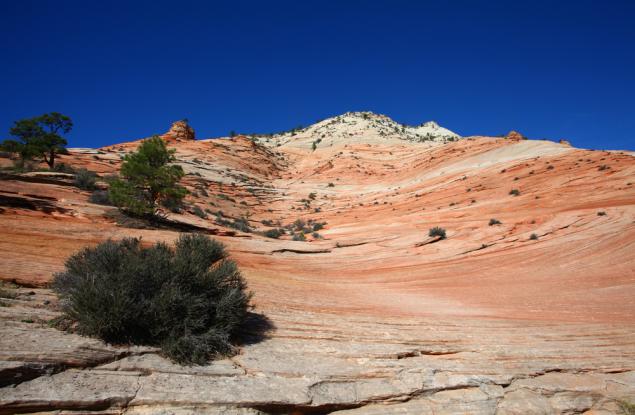 Видео: Анимация на структурата на Земята