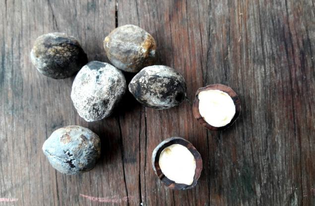 Индийското орехче е наркотик?