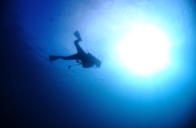 Видео: Торнадо от риби