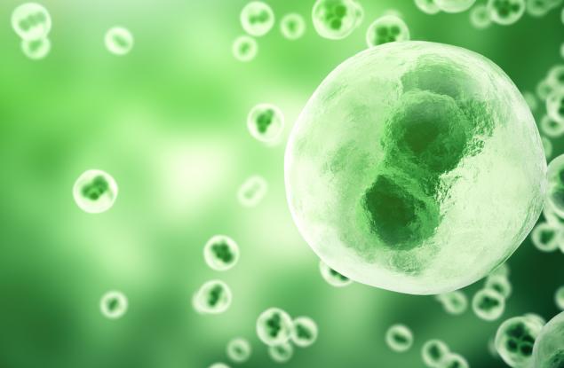 Шизофренията е 80% генетична