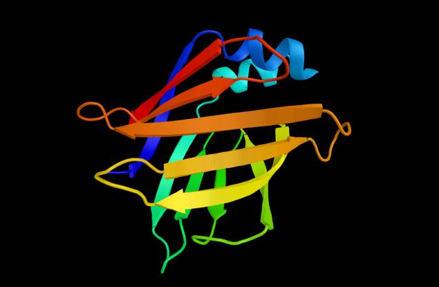 Протеин разпространява диабет от тип 2?