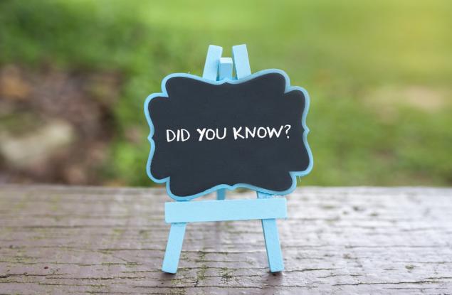 Интересно. Любопитно. Забавно