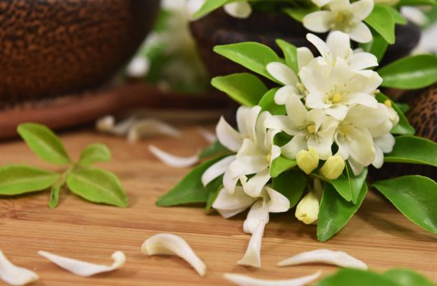 Уханието на жасмин успокоява като валиум