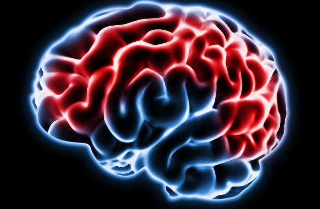 Възпаление на мозъка е отговорно за една трета от депресиите? 