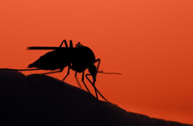 Комари предават ДНК на тези, които хапят