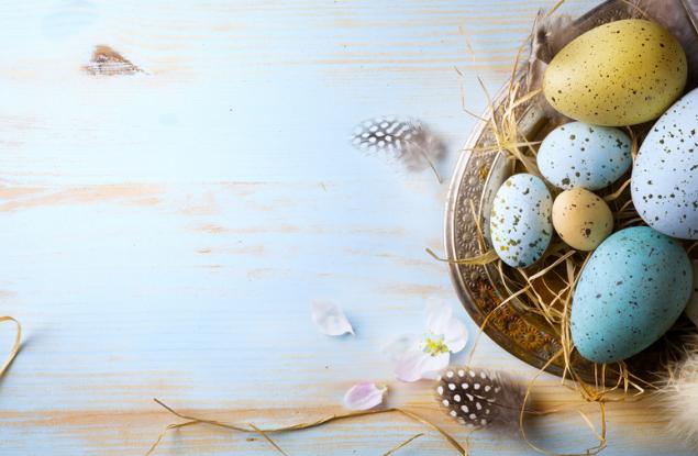 Най-накрая разбраха защо яйцата на птиците имат своята форма