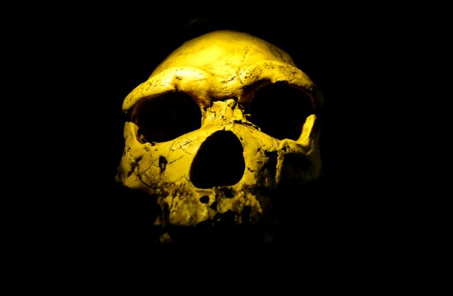 Нов братовчед на човечеството може да промени нашето разбиране за човешката еволюция