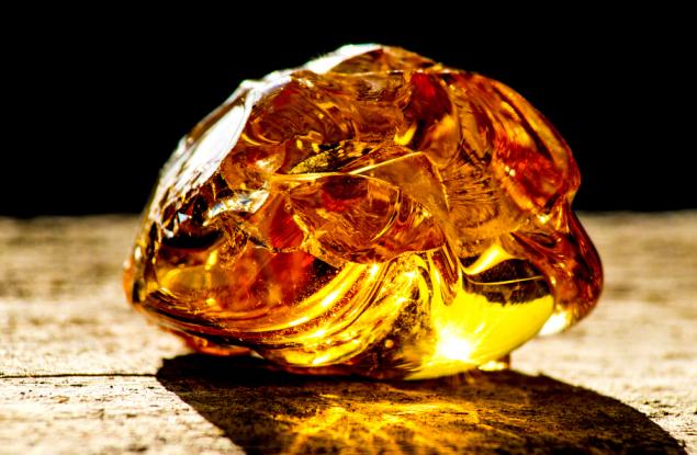 Откриха гъсеница на 44 млн. години в блокче кехлибар