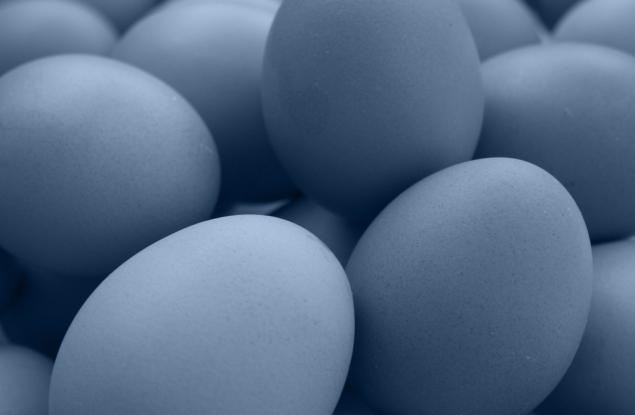 Някои динозаври са предпочитали яйцата си сини