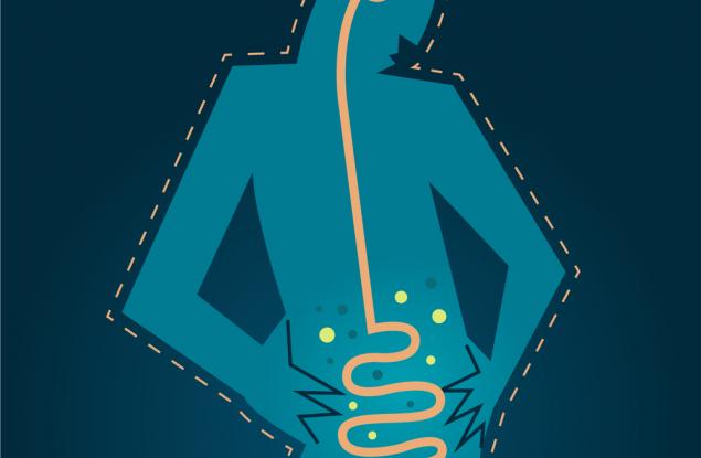 Правят ли ни дебели микробите в червата ни?