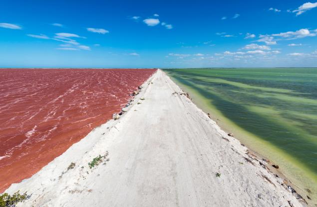 Розовата лагуна в Мексико - приказна, извънземна и мечтана