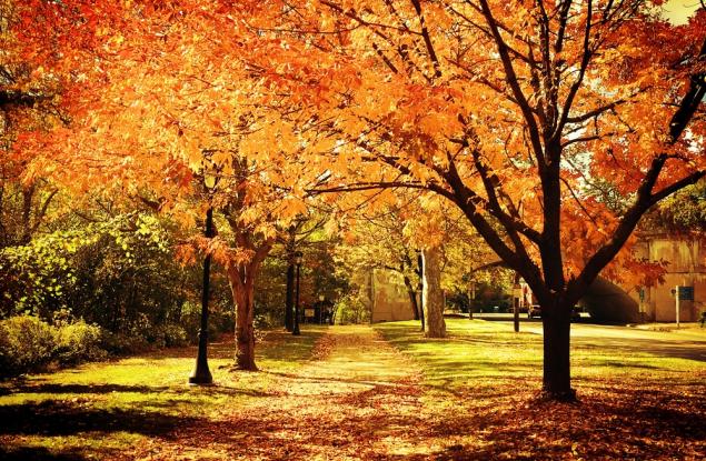 Защо мозъкът обича есента