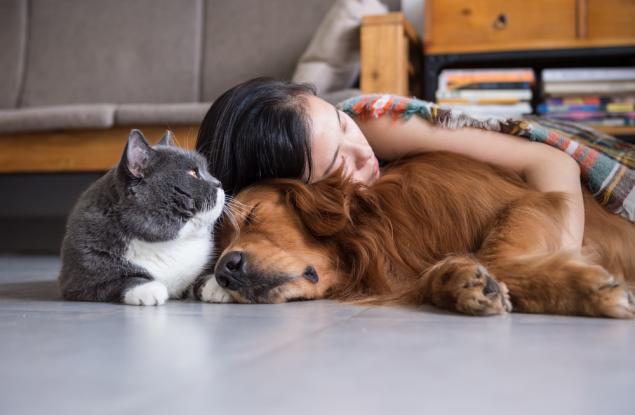 14 грешки, които всеки стопанин на домашен любимец допуска – част II