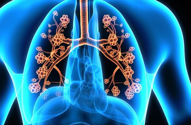 Виц: Кой е създал човешкото тяло?