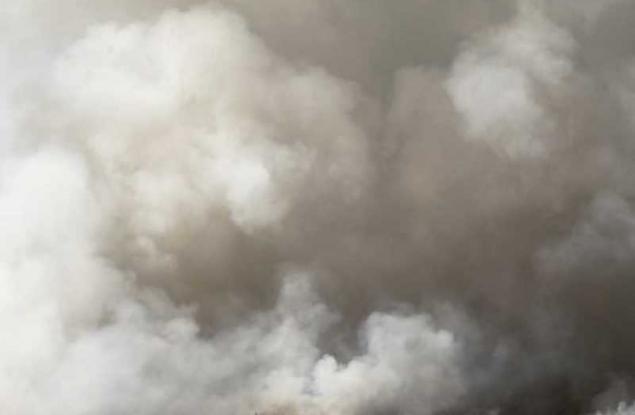 Мръсният въздух вреди на интелекта