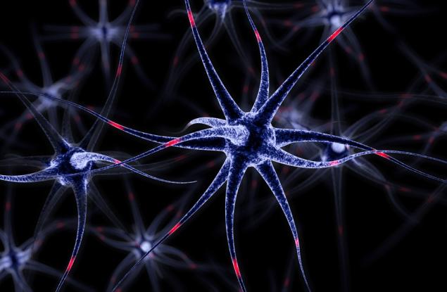 Шизофренията е причинена от помощни клетки в мозъка