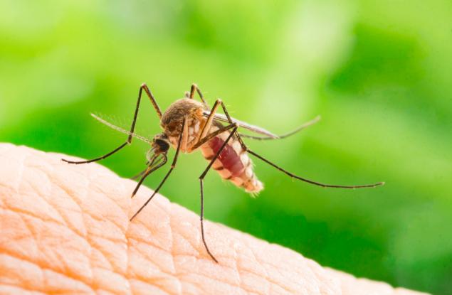Краят на маларията идва с генно инженерство?