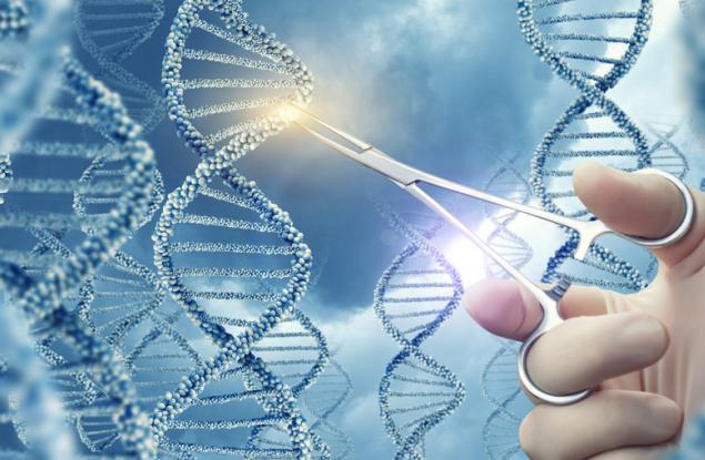 За първи път редактираха генома на човешки ембрион