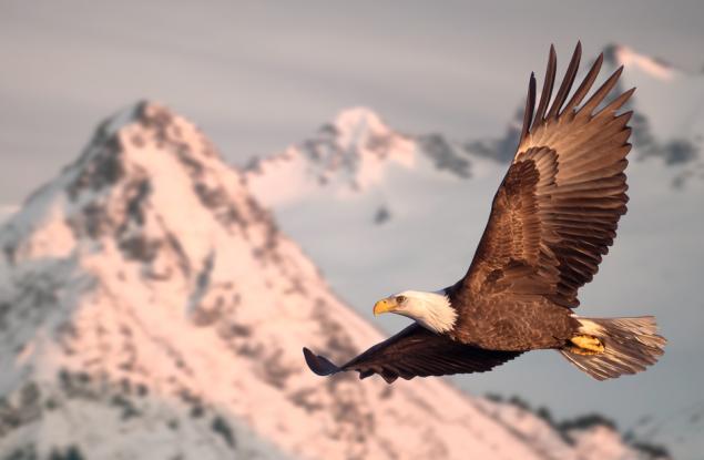 Притча за орела и гарвана