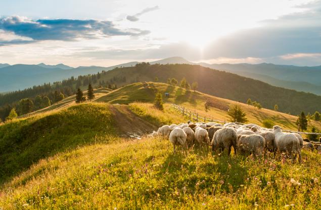 Когато съдиш хората, не ти остава време да ги обичаш