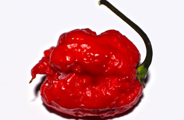 Най-лютите чушки в света докараха човек до болница