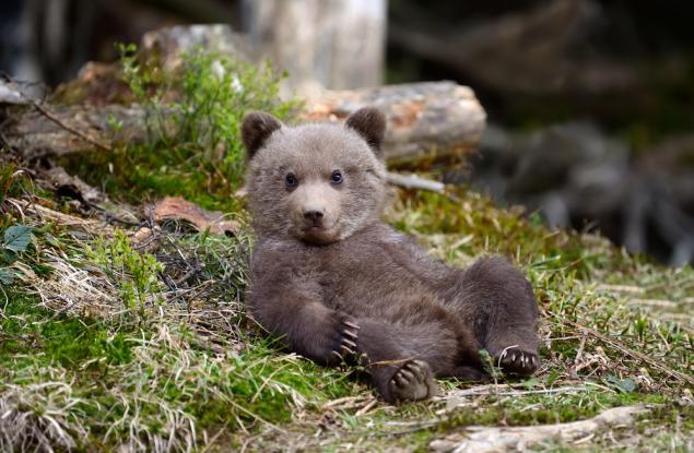 Думите оставят отпечатък, по-голям дори от най-дълбоката рана