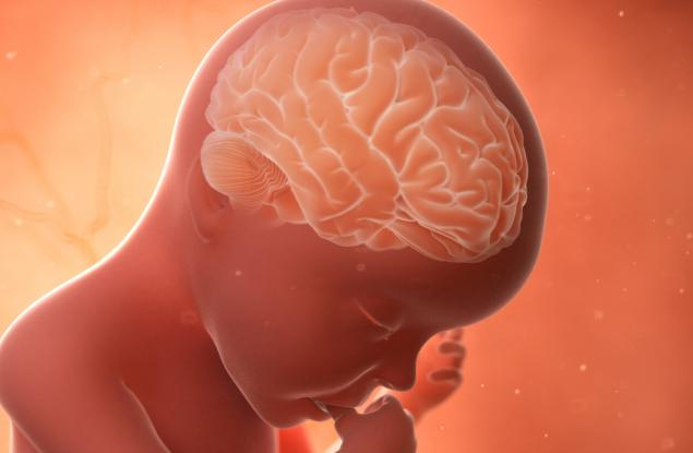 Хирурзи откриха напълно формирани зъби в мозъка на бебе             