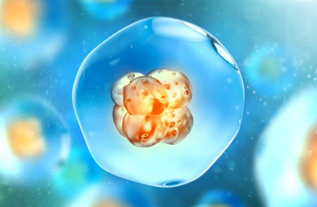 Скоро ще лекуваме болестите с клетки, а не с хапчета